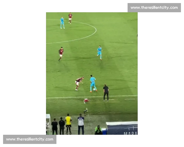 2026世界杯精彩直播视频全程回放 不容错过的赛事瞬间尽在其中